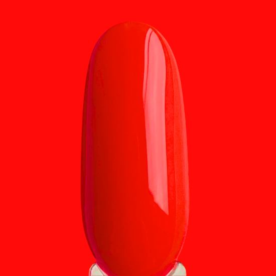 PINX 031