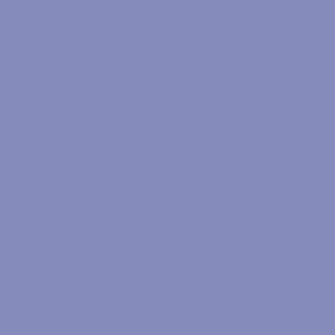 PINX 113